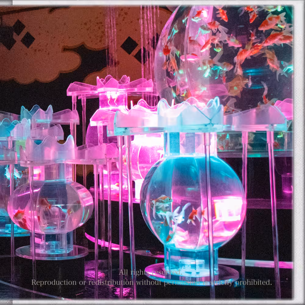 3STARS DPA SAMPLE バックカバー裏