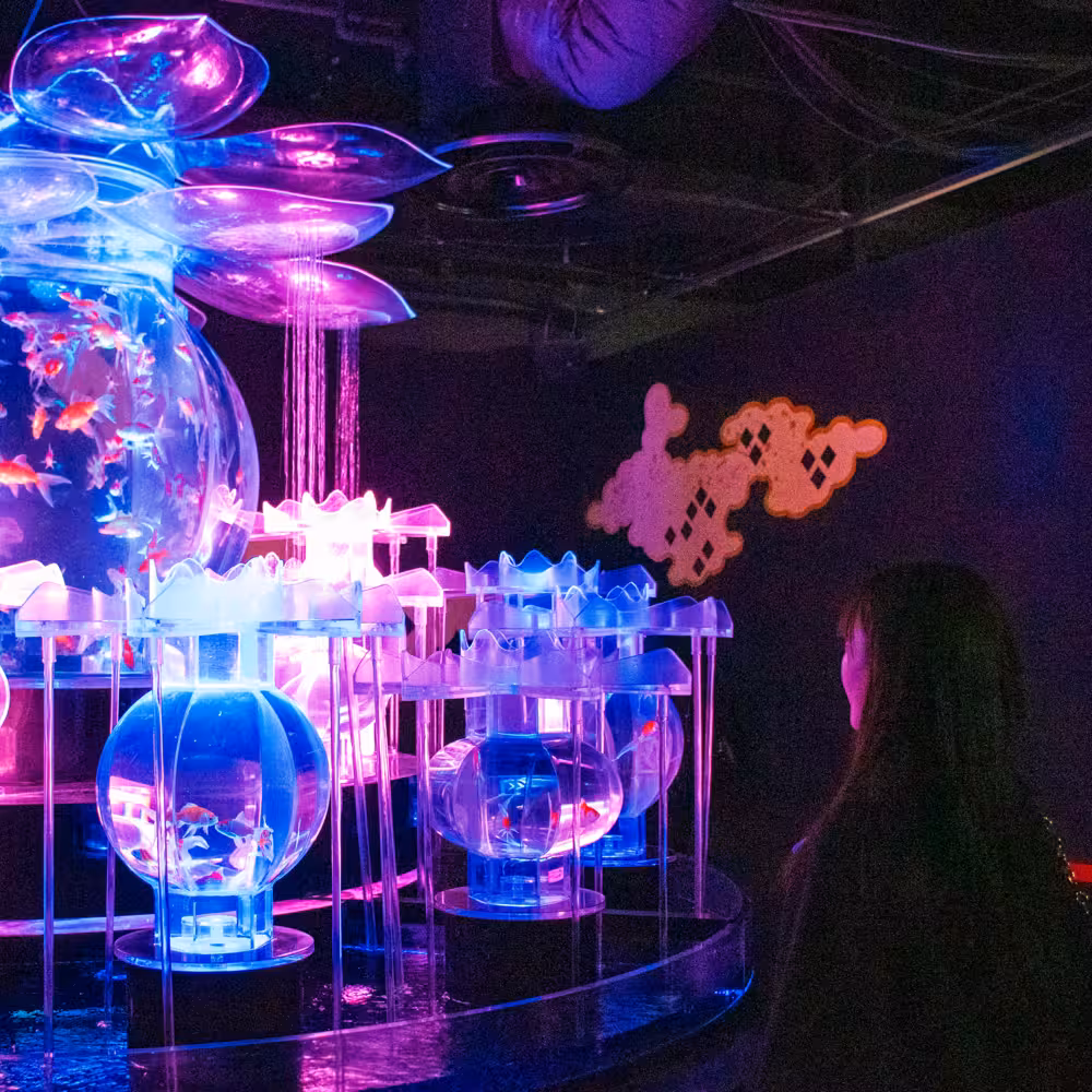 3STARS DPA SAMPLE 13ページ目