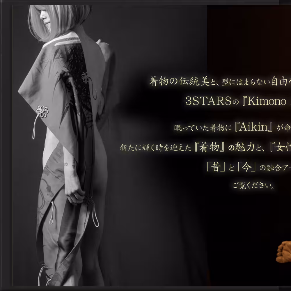 Aikin デジタルフォトアルバム vol.2 フロントカバー裏