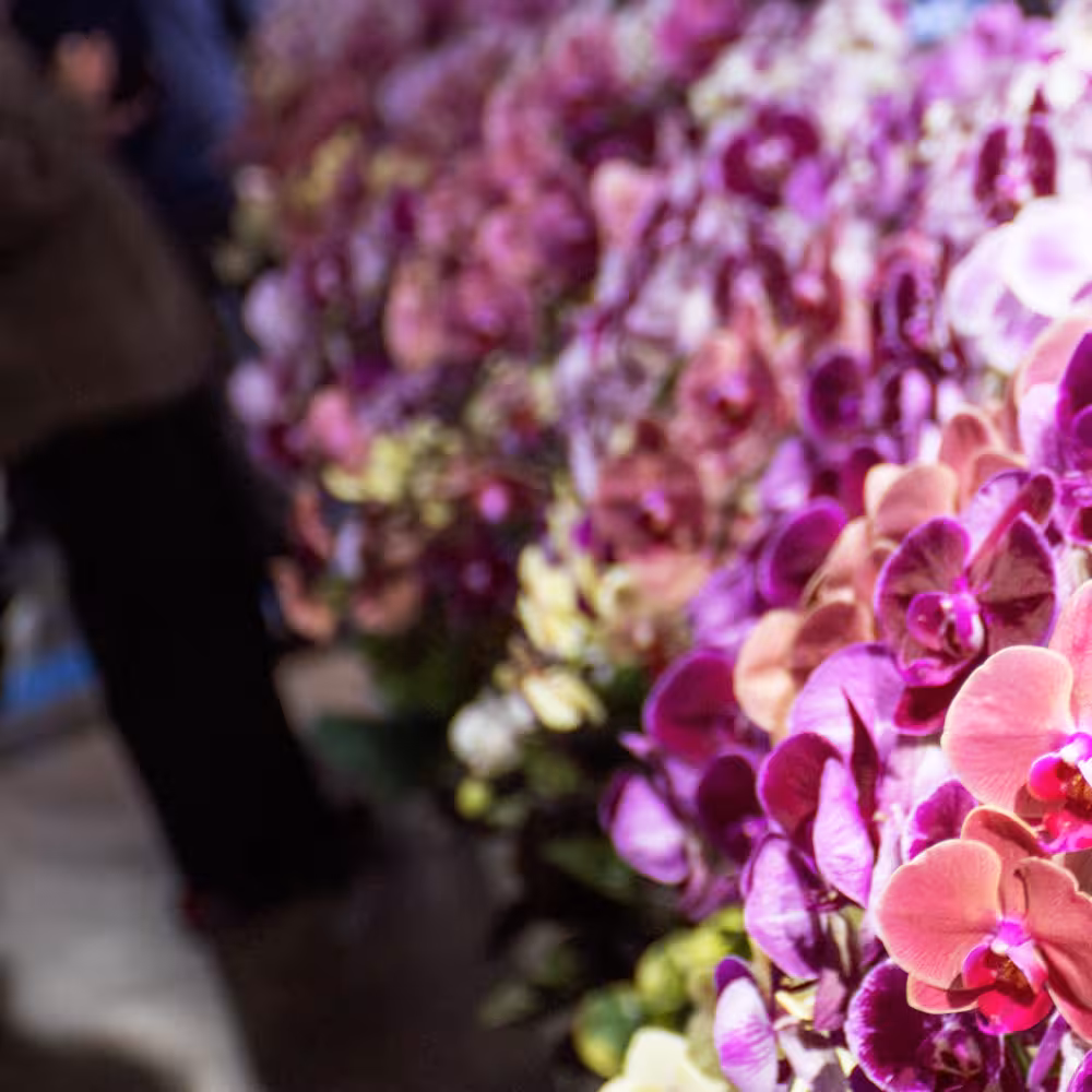 irohana デジタルフォトアルバム vol.1 4ページ目