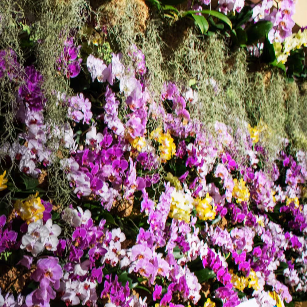 irohana デジタルフォトアルバム vol.1 3ページ目