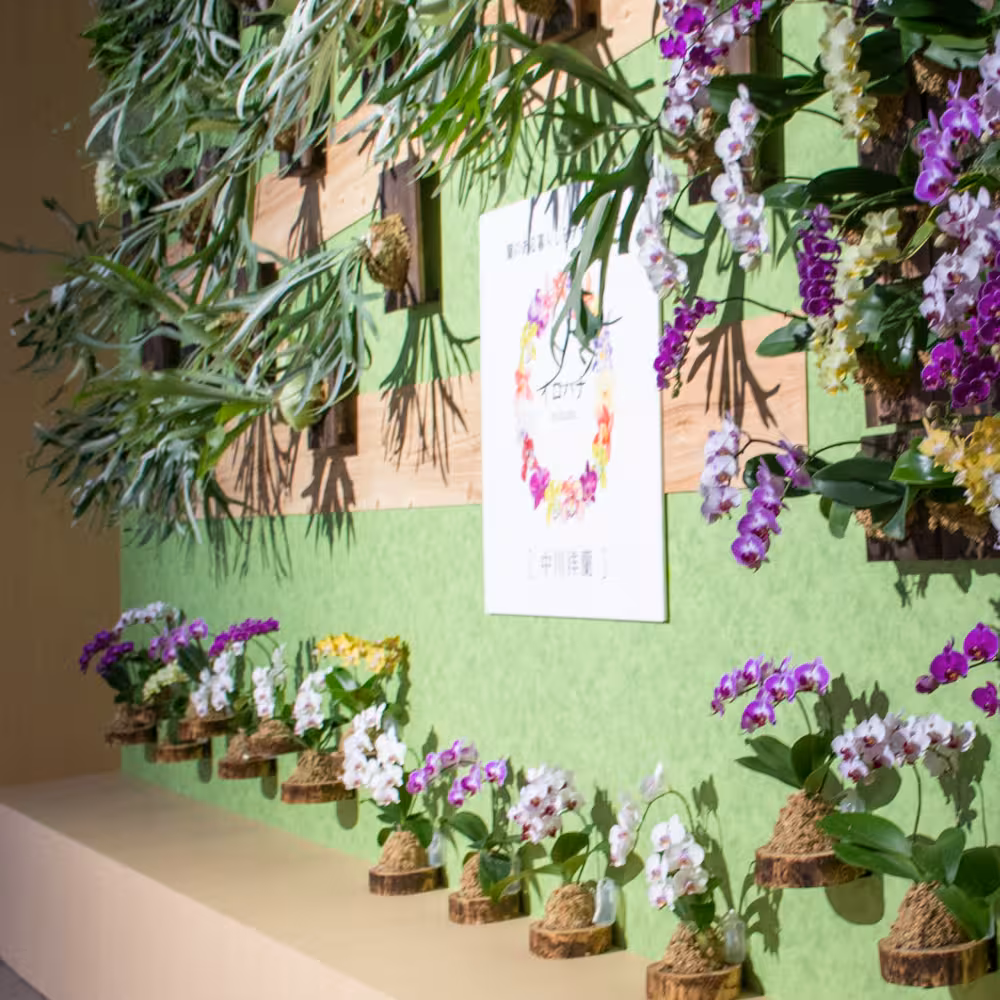 irohana デジタルフォトアルバム vol.1 バックカバー裏の左