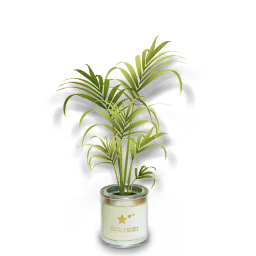 YUI フォトアルバム一覧 6ページ目