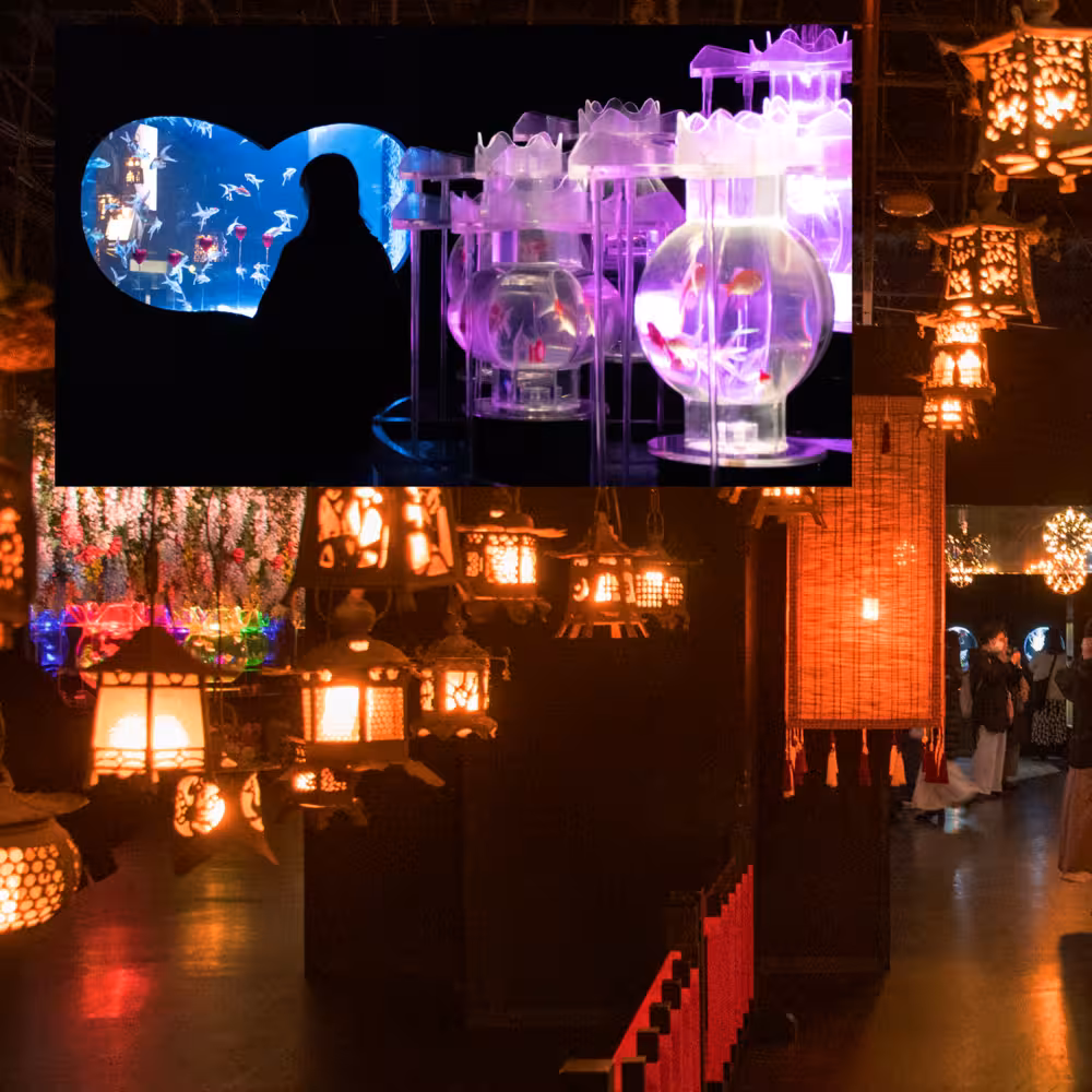 Yui デジタルフォトアルバム vol.1 4ページ目