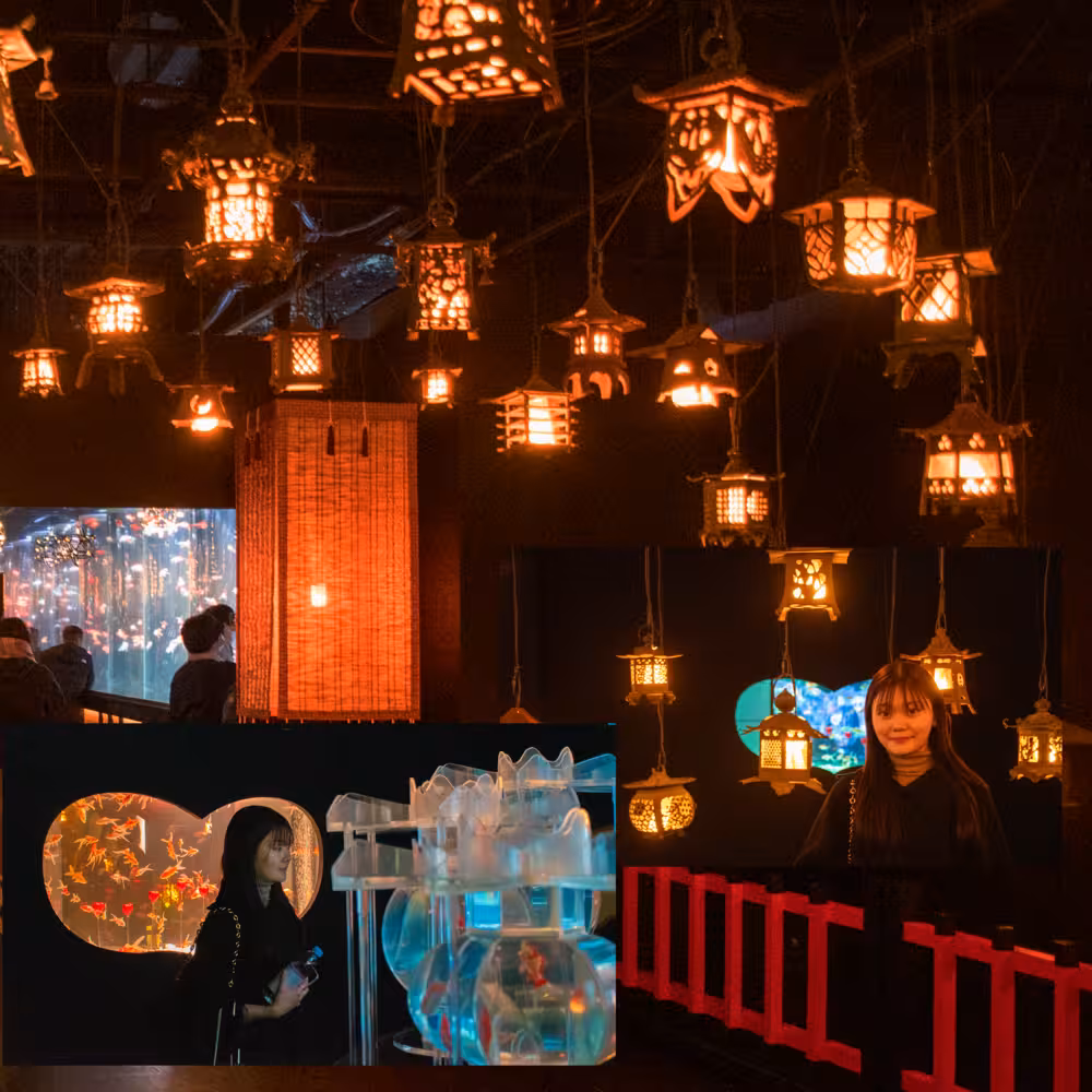 Yui デジタルフォトアルバム vol.1 5ページ目