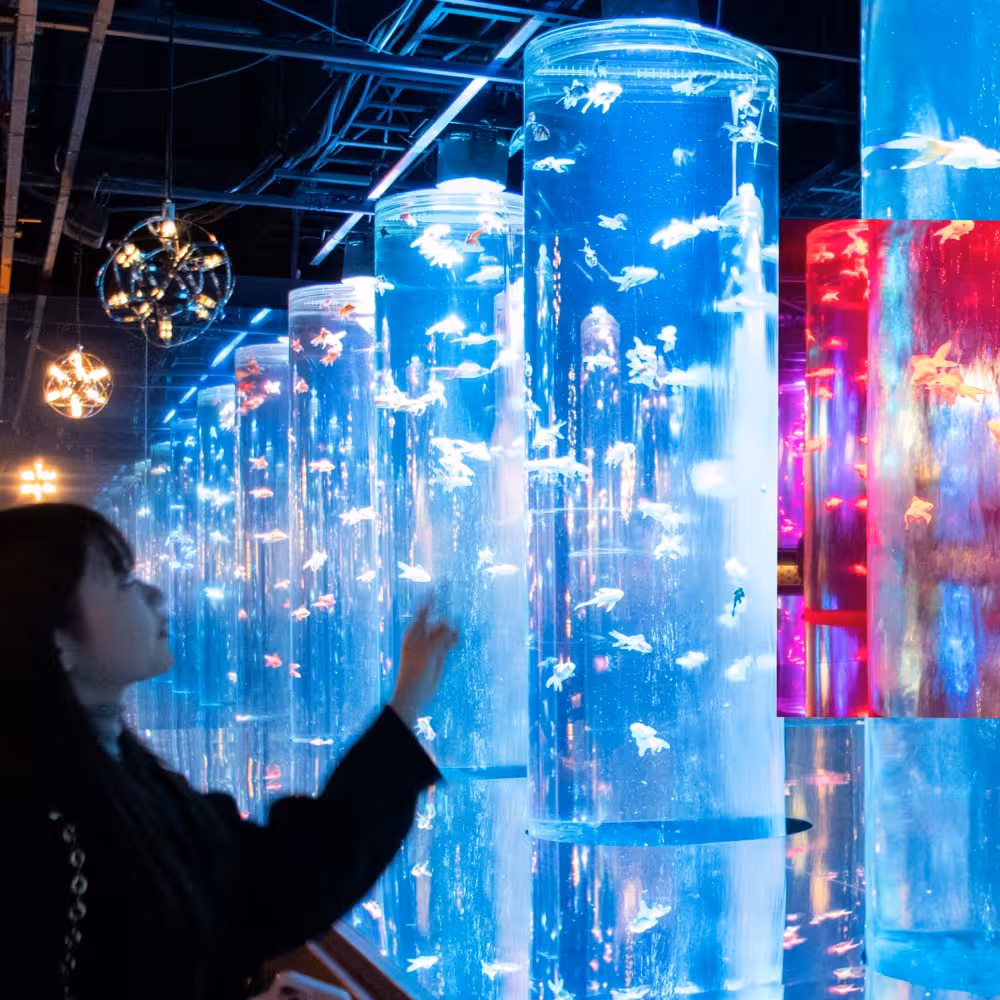 Yui デジタルフォトアルバム vol.1 6ページ目