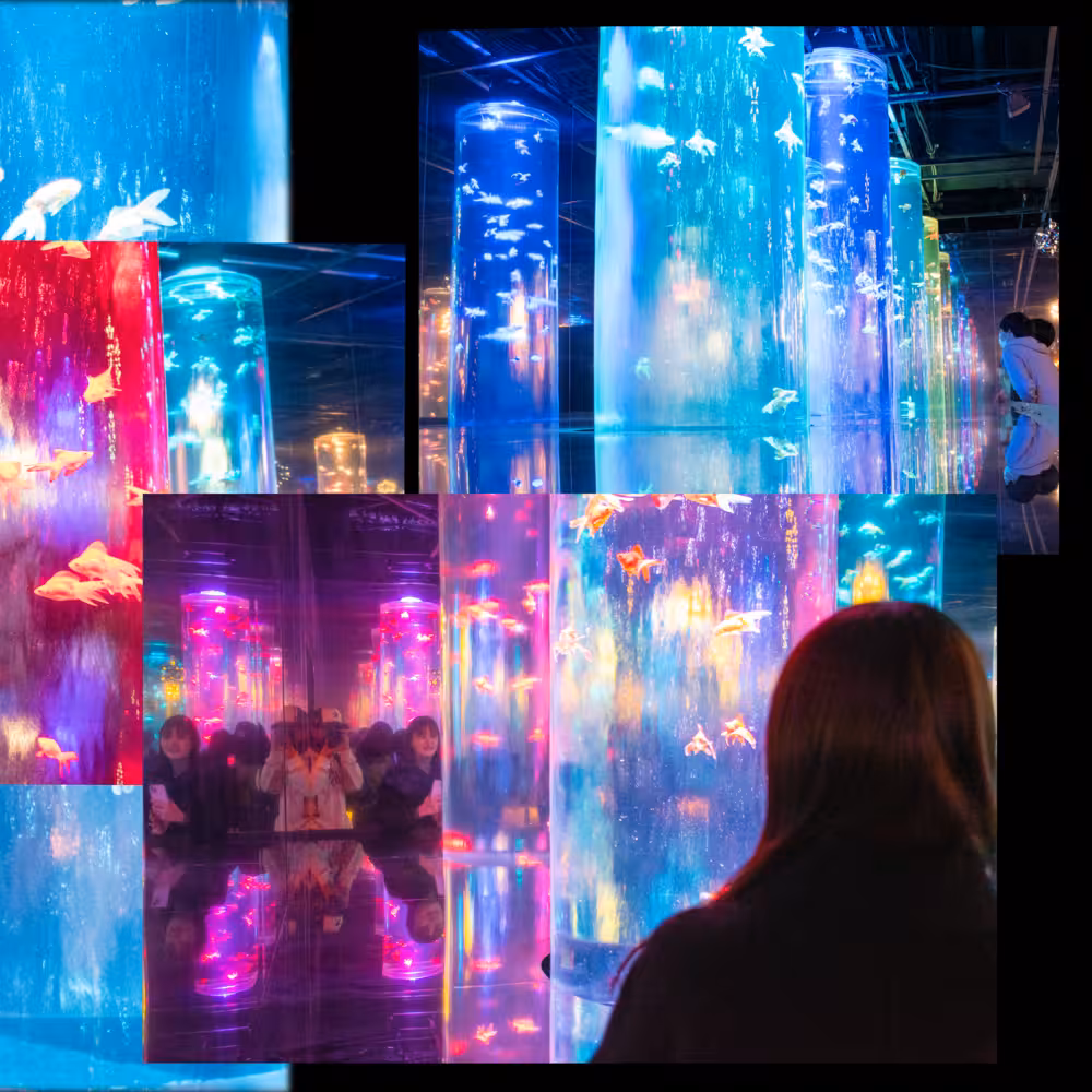 Yui デジタルフォトアルバム vol.1 7ページ目