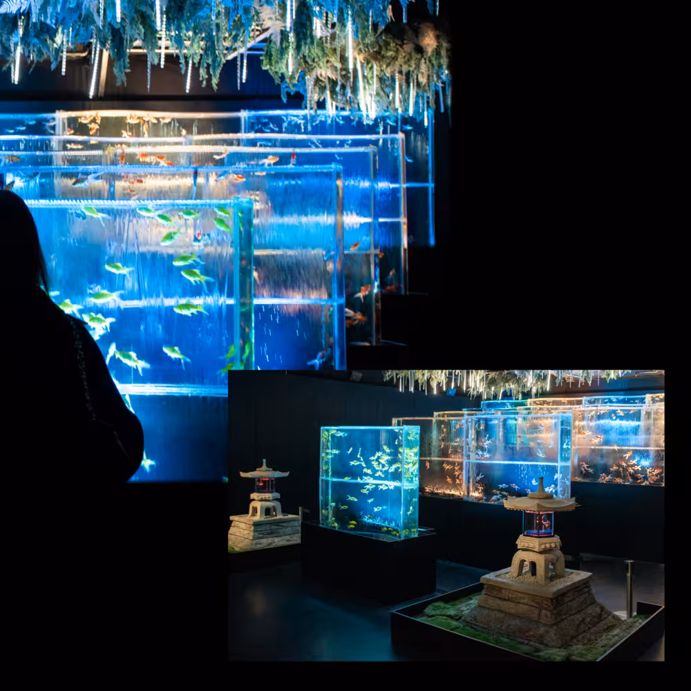 Yui デジタルフォトアルバム vol.1 11ページ目