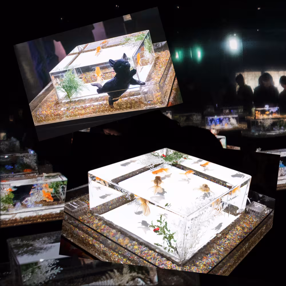 Yui デジタルフォトアルバム vol.1 12ページ目