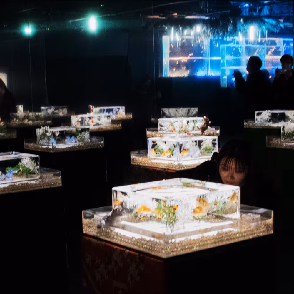 Yui デジタルフォトアルバム vol.1 13ページ目