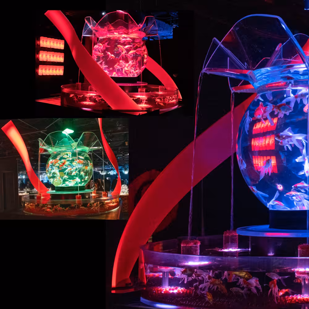 Yui デジタルフォトアルバム vol.1 14ページ目