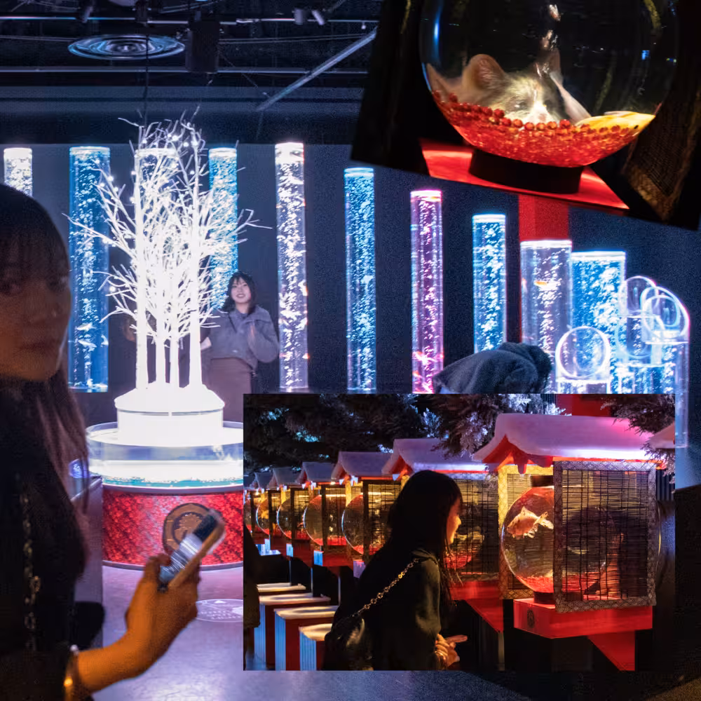 Yui デジタルフォトアルバム vol.1 17ページ目