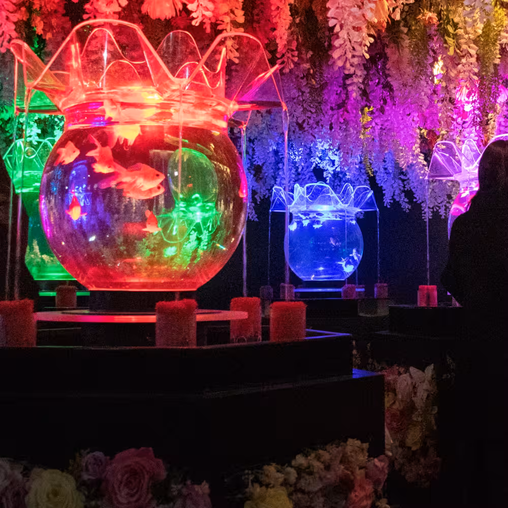 Yui デジタルフォトアルバム vol.1 20ページ目