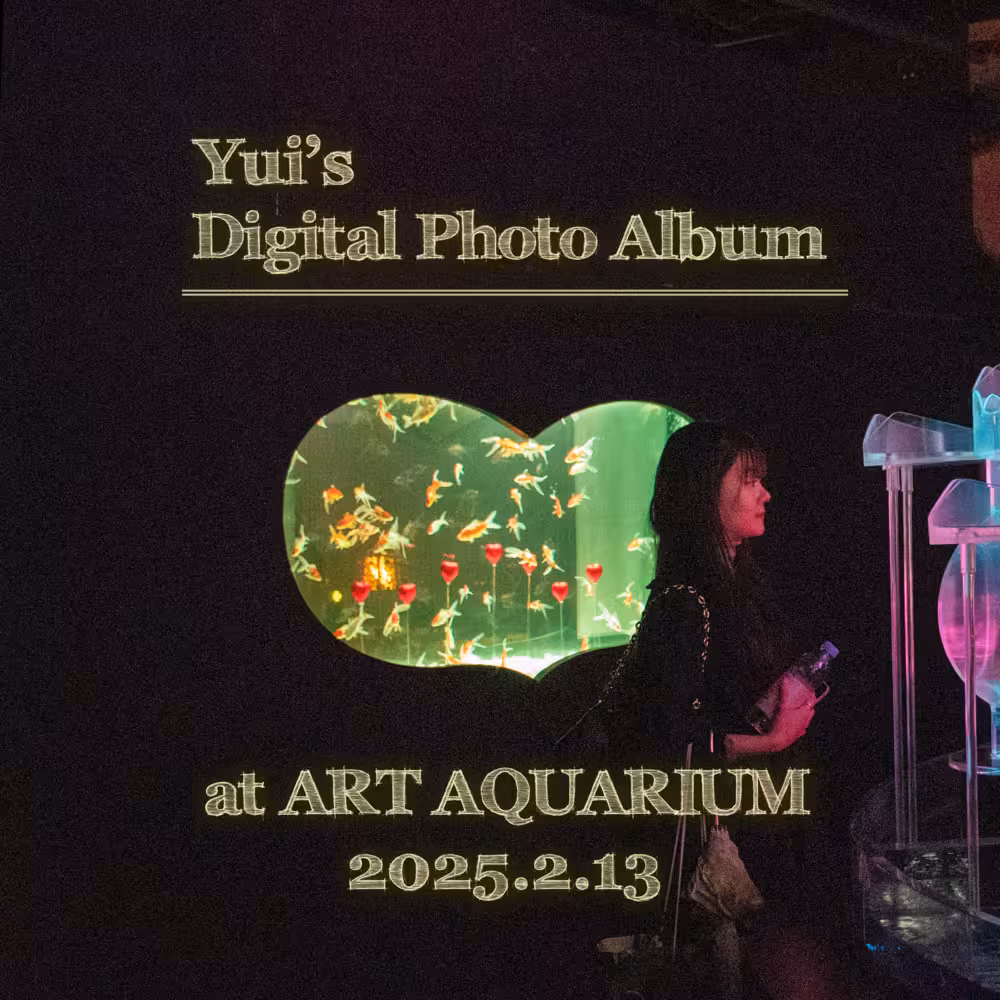 Yui デジタルフォトアルバム vol.1 フロントカバー裏