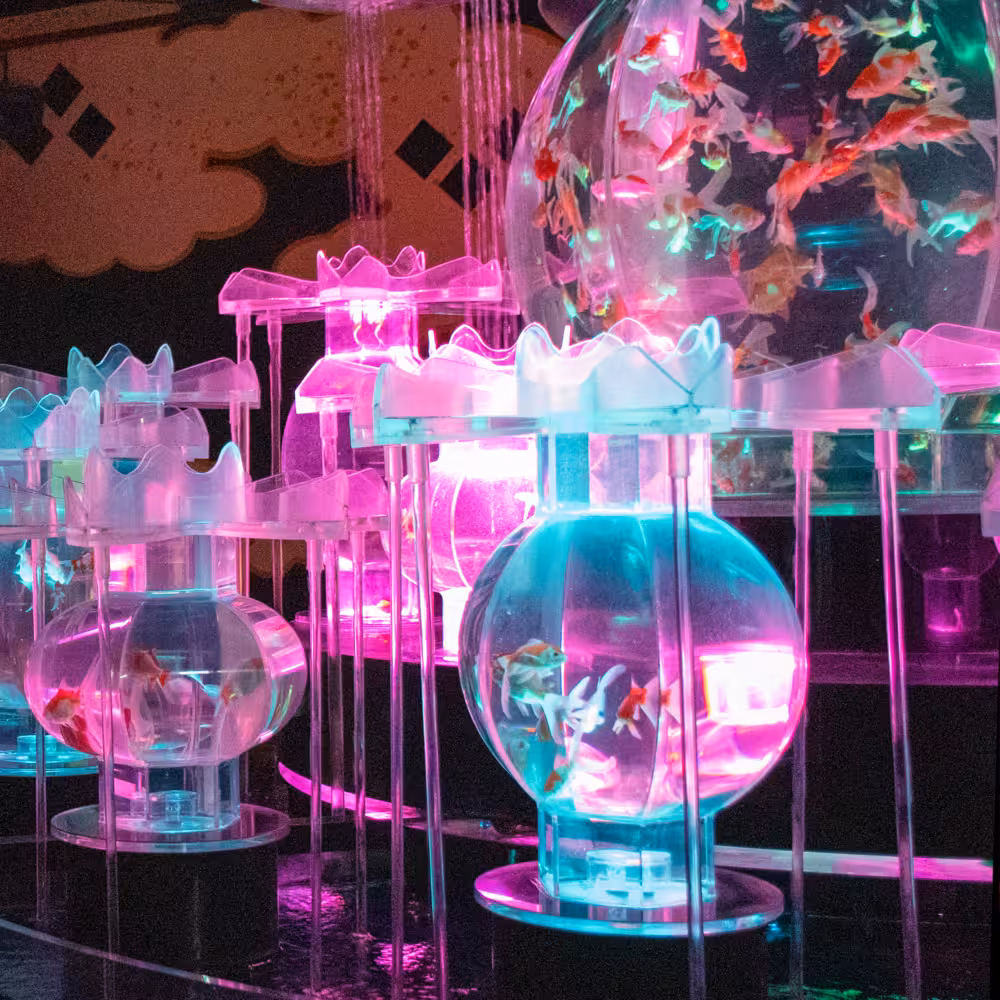 Yui デジタルフォトアルバム vol.1 3ページ目