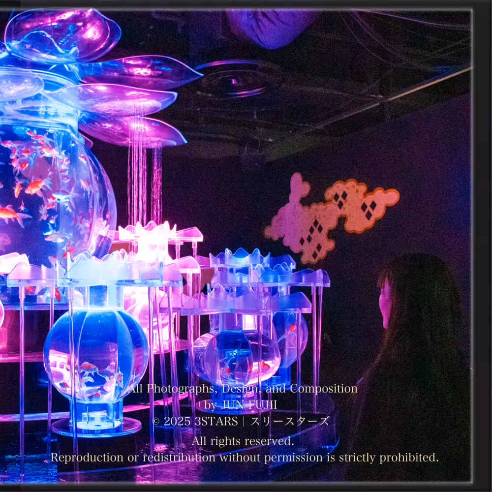 Yui デジタルフォトアルバム vol.1 バックカバー裏