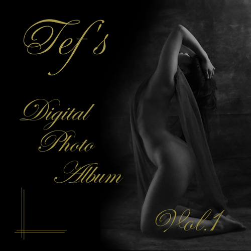 Tef デジタルフォトアルバム vol.1