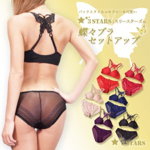 ノンワイヤーシースルー ブラ&ショーツ『蝶々ブラ＆レースショーツ』セット 3S-US001