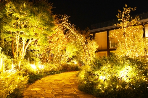 Scenery_2021NightView01-w1000