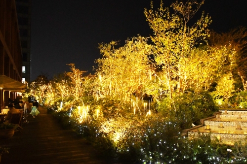 Scenery_2021NightView02-w1000